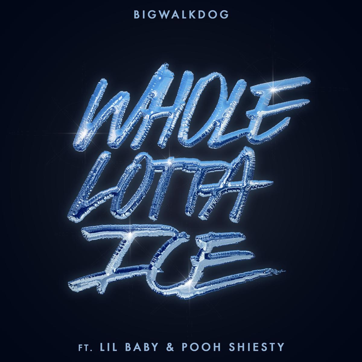 BigWalkDog Whole Lotta Ice ft. Lil Baby Pooh Shiesty