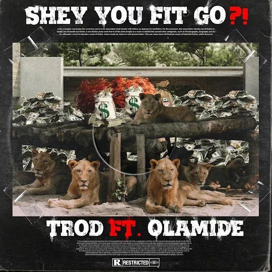 Trod – Shey You Fit Go ft. Olamide