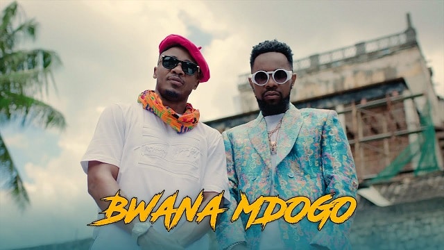 Alikiba – Bwana Mdogo ft. Patoranking Video