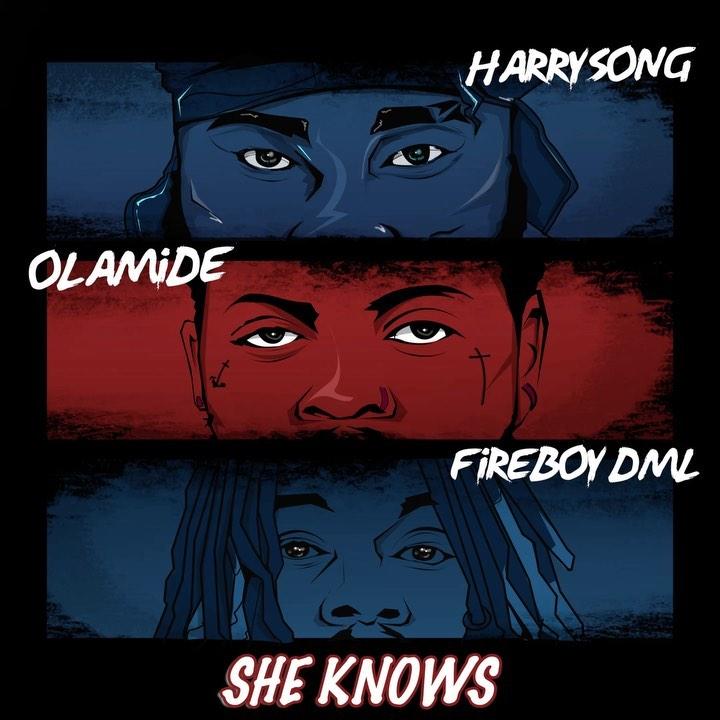 Harrysong – She Knows ft. Fireboy DML Olamide