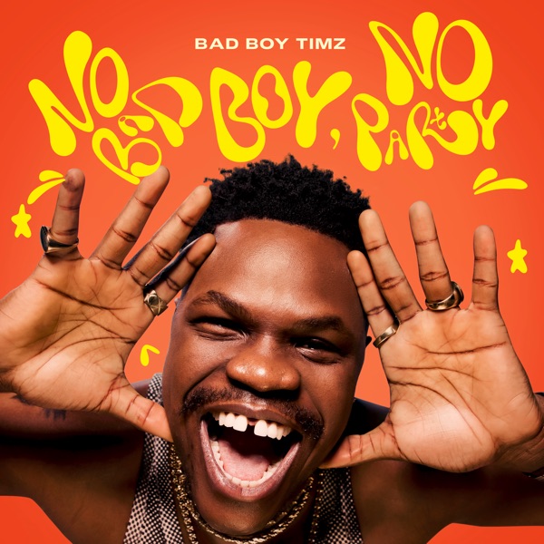 Bad Boy Timz No Bad Boy No Party Album