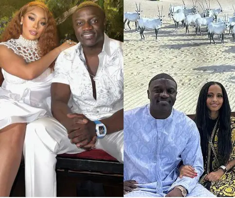 Akon wives